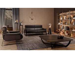 Fauteuil Falcon 2
